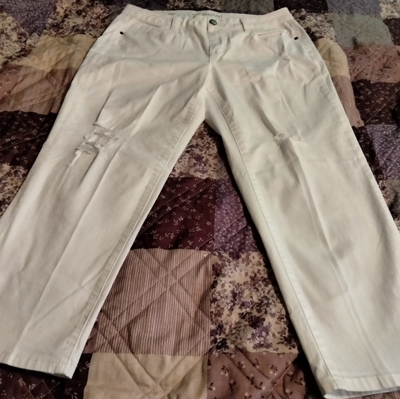 Lane Bryant Denim - Lane Bryant Distressed Cropped Jeans